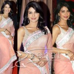 Priyanka Chopra In Net Saree Styles