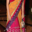 Dia Mirza Half Saree Design | Ritesh Genelia's Sangeent Ceremony