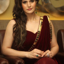 Zarine Khan New Picture In Saree